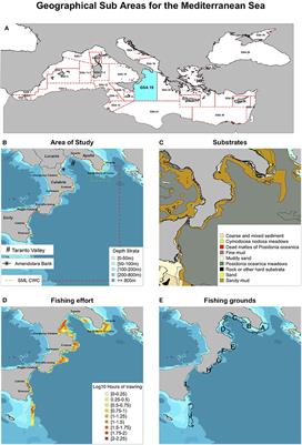 A Holistic Approach to Fishery Management: Evidence and Insights from a Central Mediterranean Case Study (Western Ionian Sea)